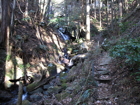 20180116hike (340)
